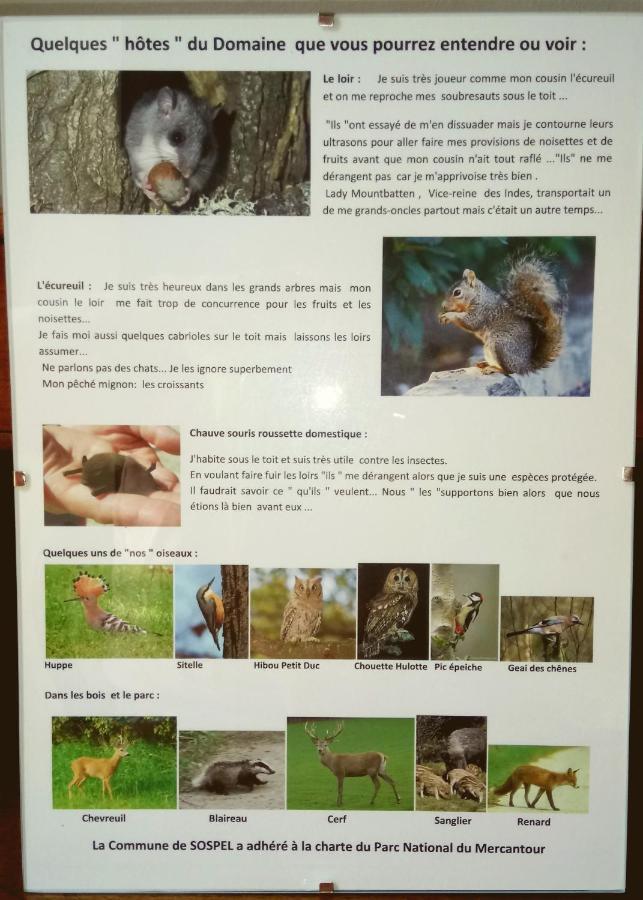 Domaine Du Parais B&B Sospel Zewnętrze zdjęcie