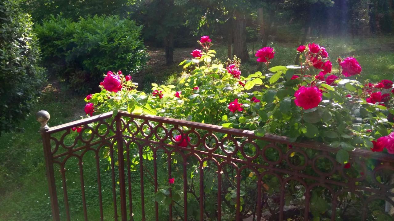 Domaine Du Parais B&B Sospel Zewnętrze zdjęcie